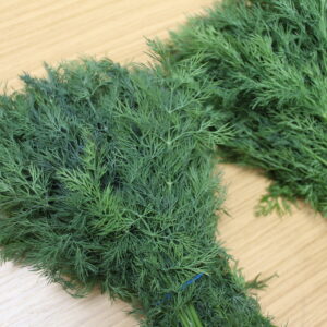 Bunched Dill Herb
