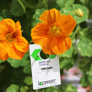 Integreated pest management control