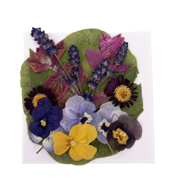 Standard Pressed Flower Mix