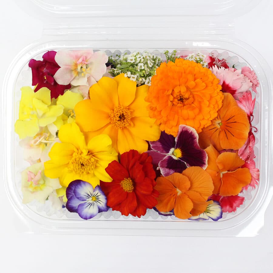 Edible Flowers