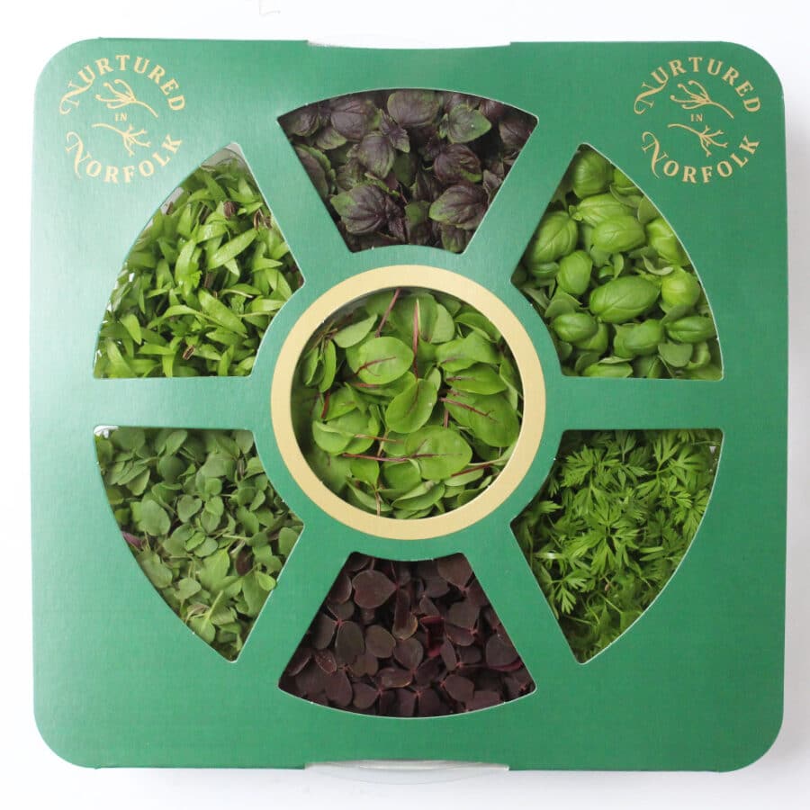 Micro Cress