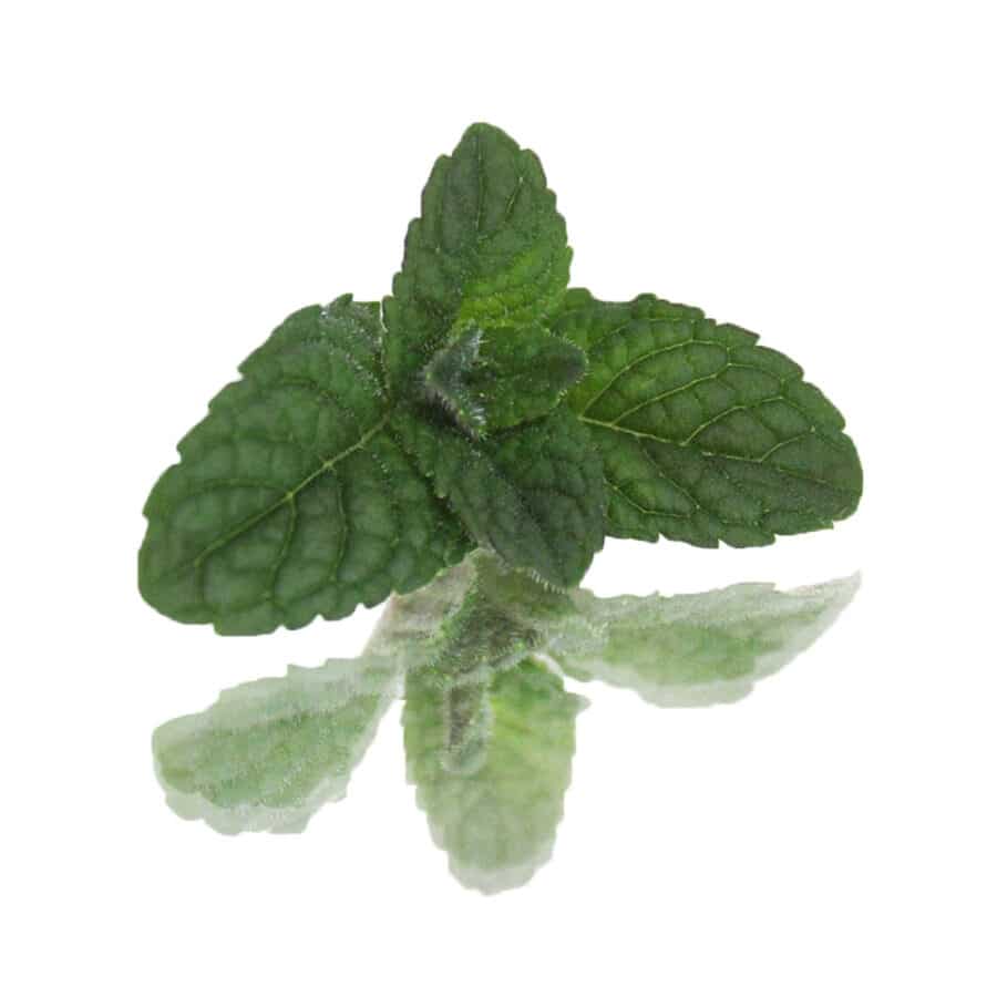 edible leaves