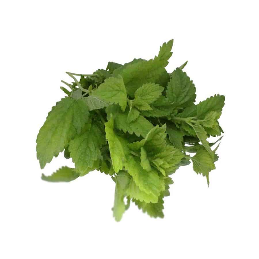 lemon herb buunched herb