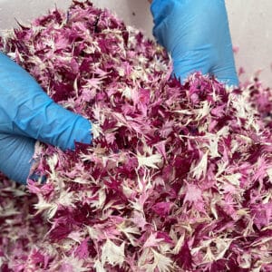 pink dried cornflowers edible flowers