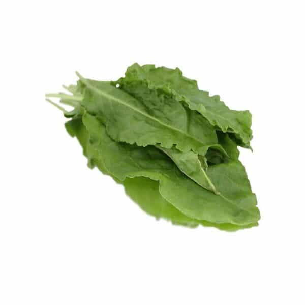 Sorrel bunched herb