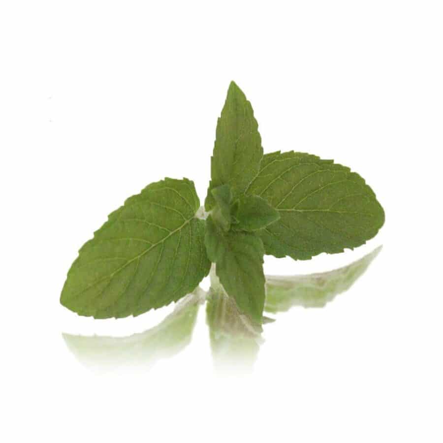 spearmint