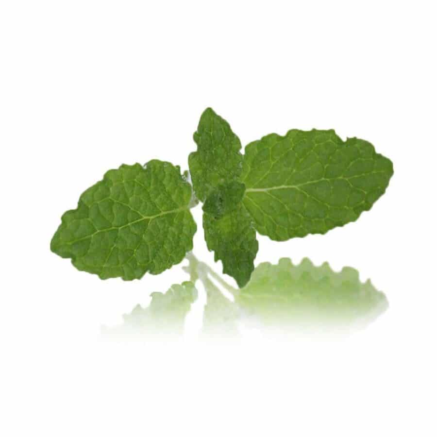 strawberry mint tips