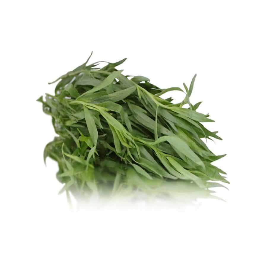 bunched tarragon herbs