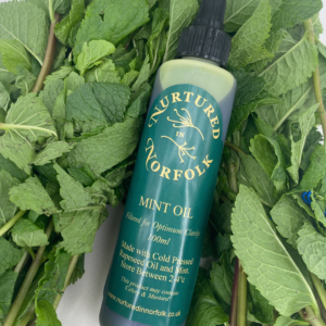 Mint Herb Oil with fresh Mint
