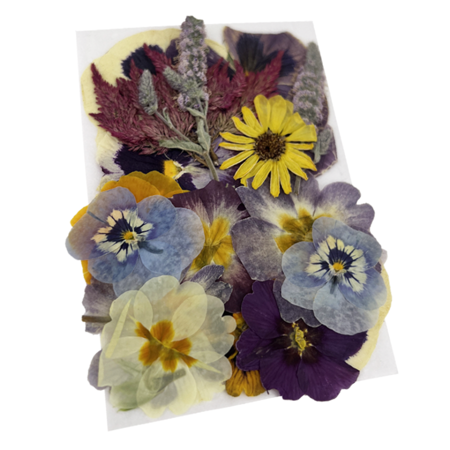 Press Edible Flowers Easter