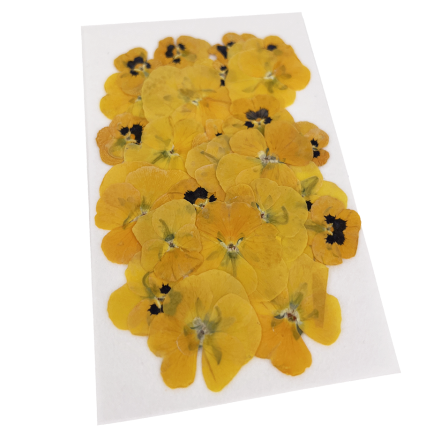Easter Edible Violas