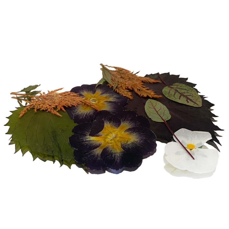 Pressed Flower & Leaf Halloween Mix