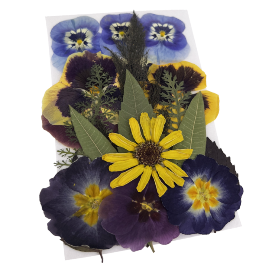 Pressed Edible Flower & Leaf Mix For Easter
