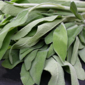 Sage