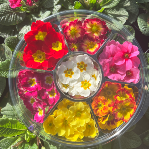 Mother's Day Edible Flower Wheel